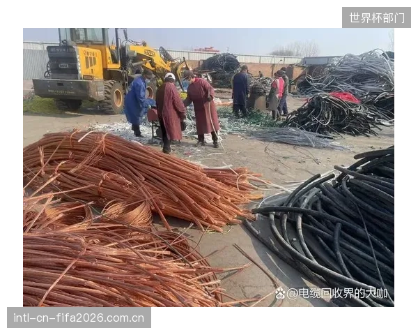 当因热衰减而报废的涡流制动核心越来越多，其中包含的稀土永磁材料，其回收与环保处理流程是否已有行业标准？